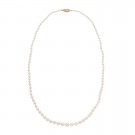 3.0-7.0mm Japanese Akoya Graduated Pearl Necklace
